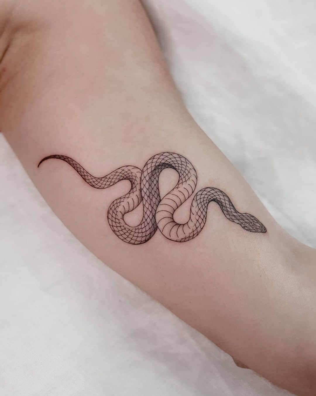 Snake Tattoo 18