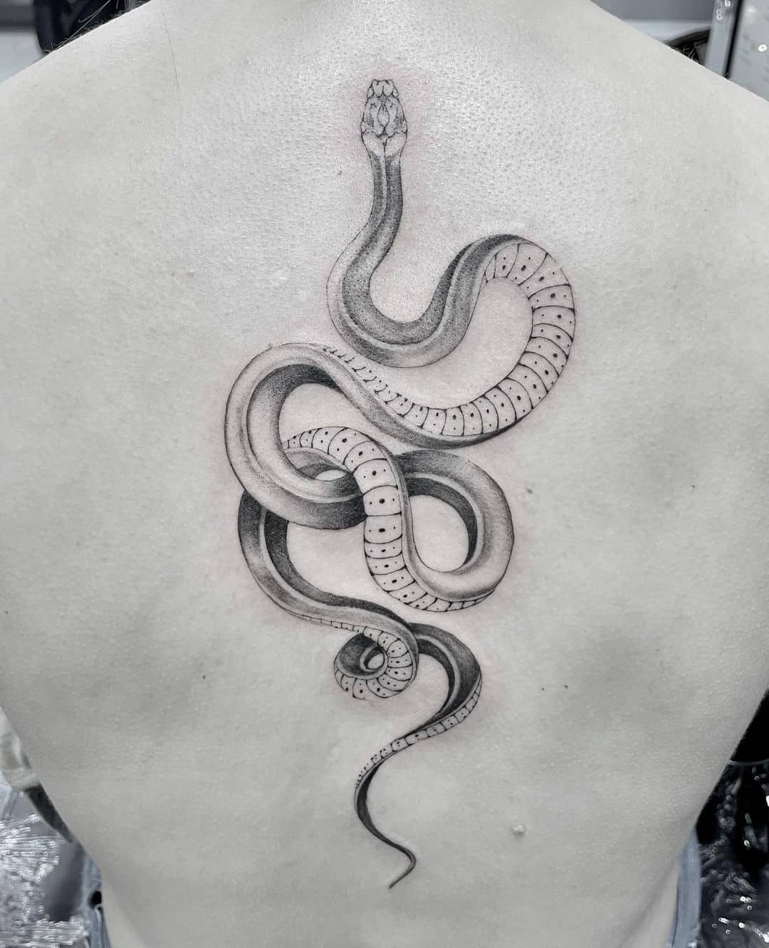 Snake Tattoo 20
