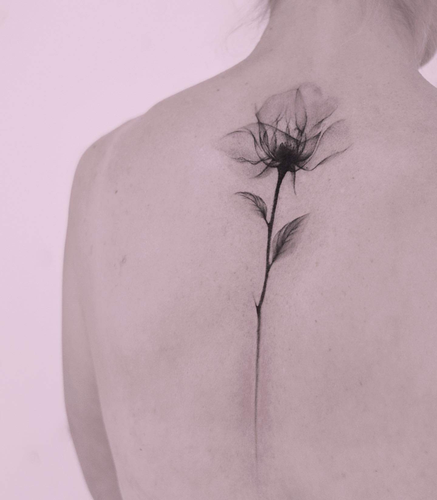 Chrysanthemum Tattoo Ideas 51
