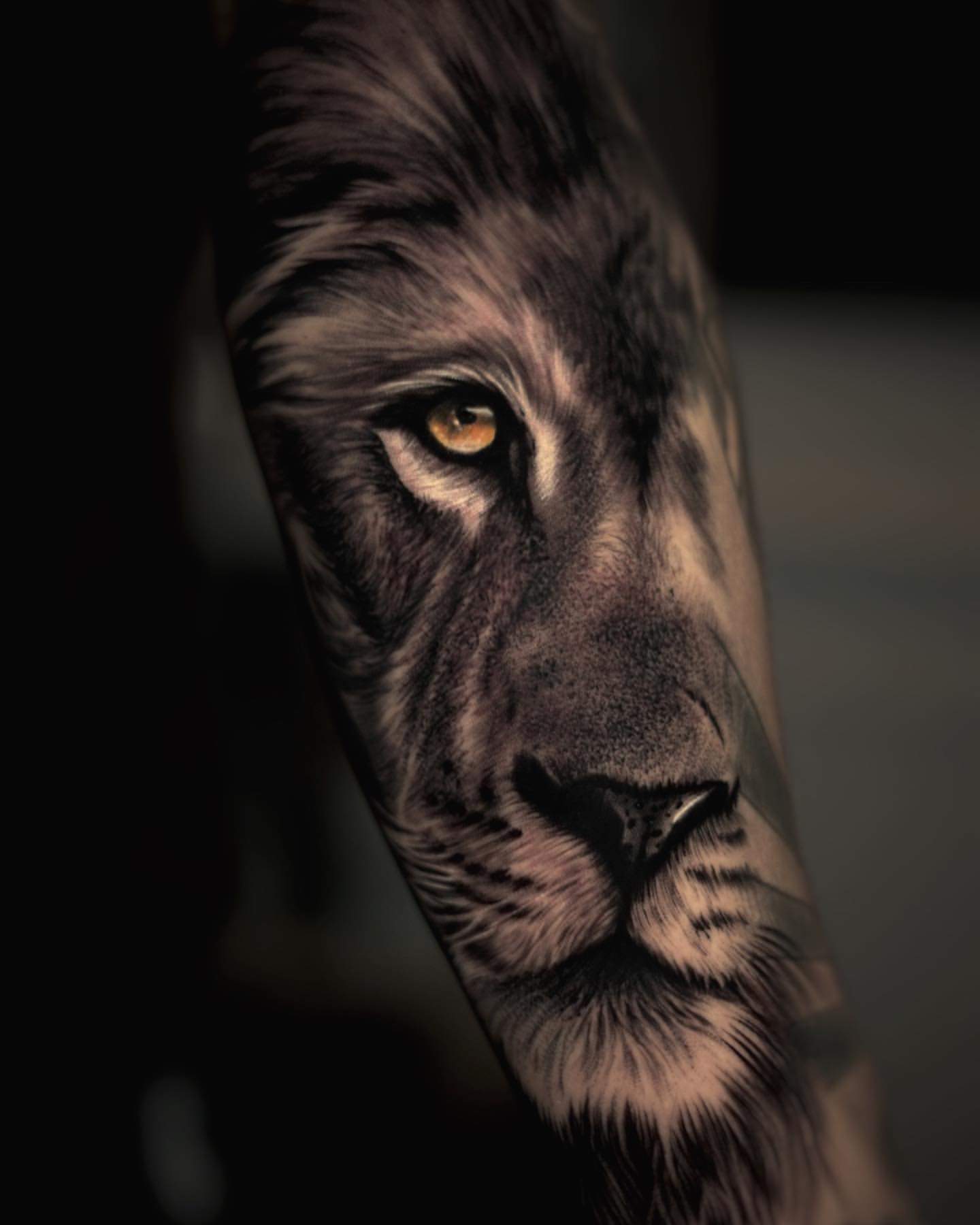 Lion Tattoo Ideas 13
