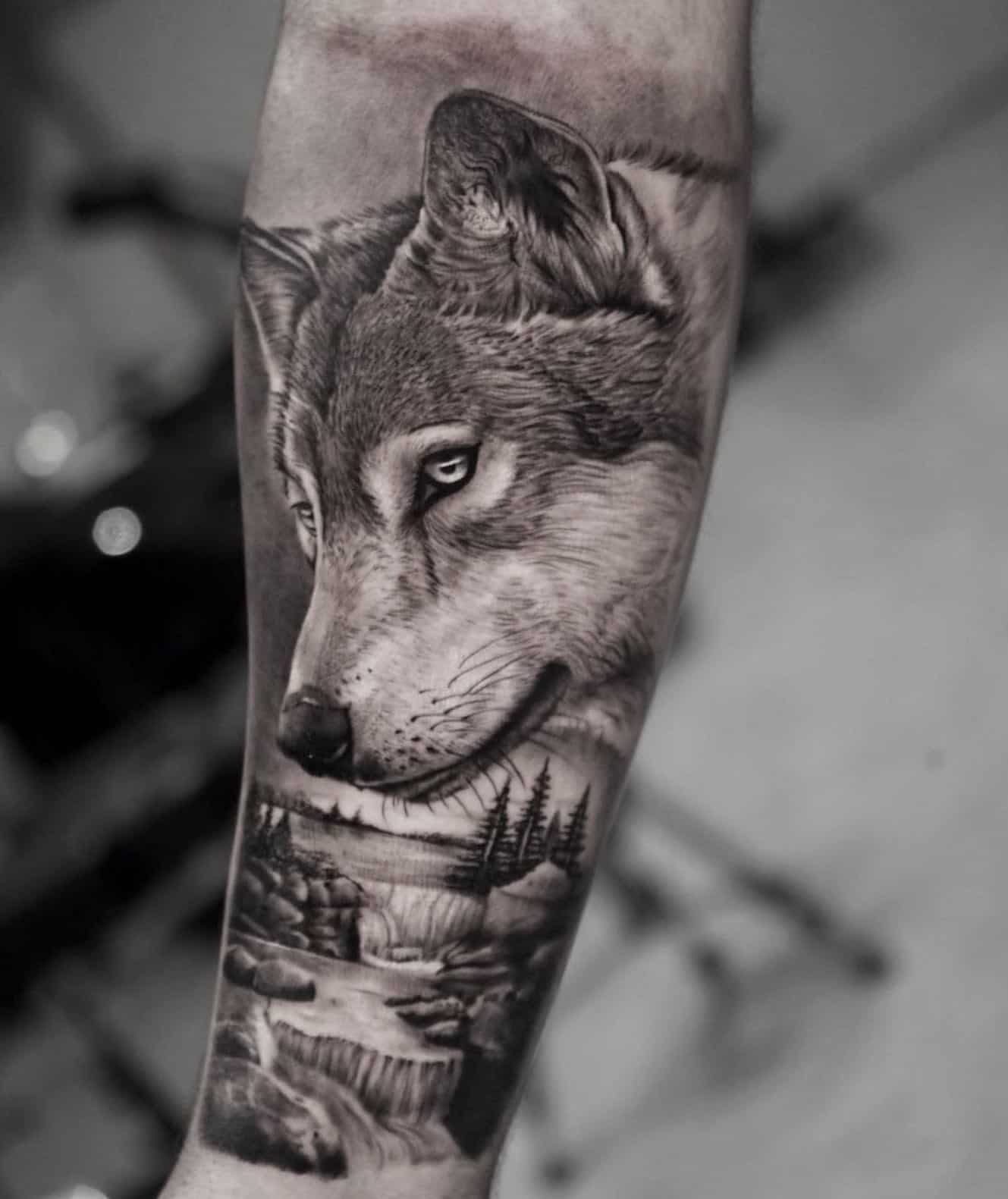 25 Wolf Forearm Tattoo Ideas For Men  Women  PetPress