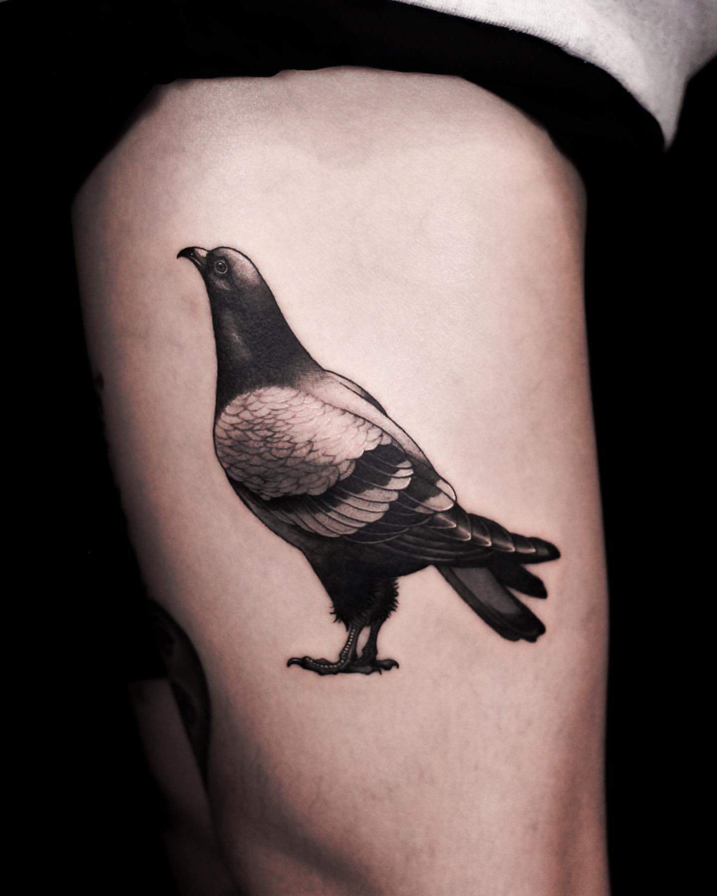 50 Pigeon Tattoo Designs For Men - Bird Ink Ideas