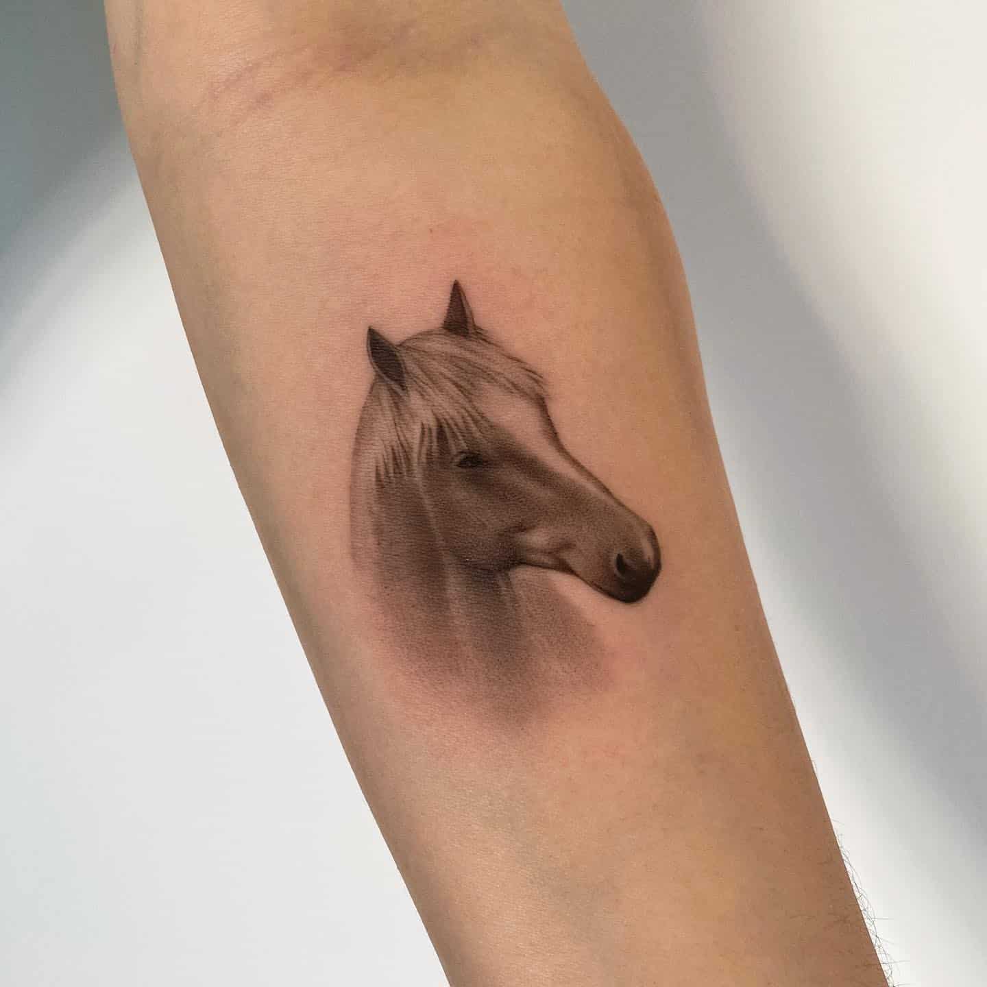 Horse Tattoo Ideas 5
