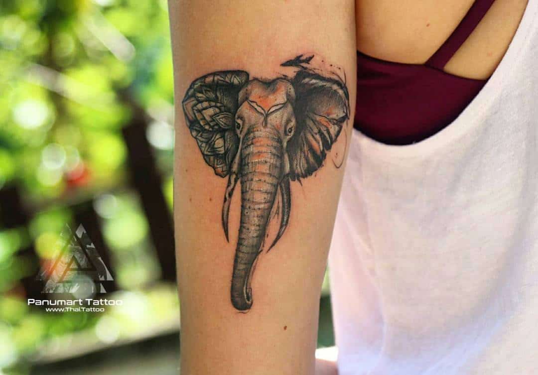 33 Elegant Elephant Tattoo Ideas for Men & Women in 2023