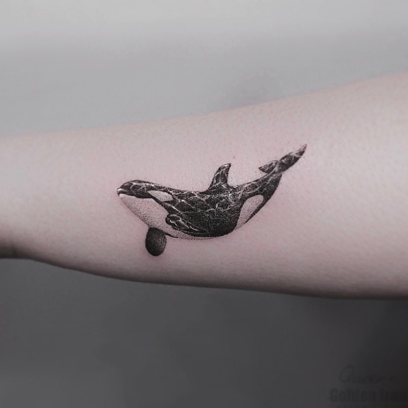 Dolphin Tattoo Ideas 40