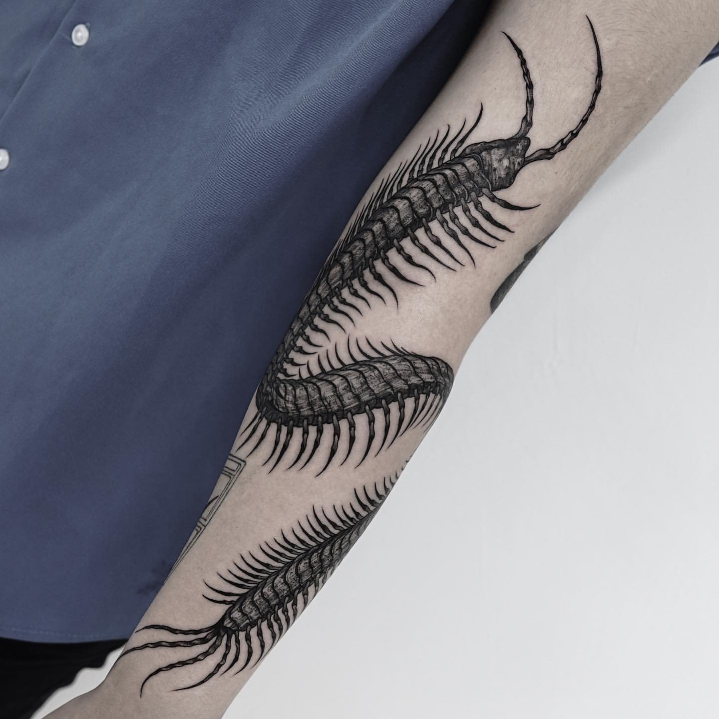 Centipede Tattoo Ideas 5