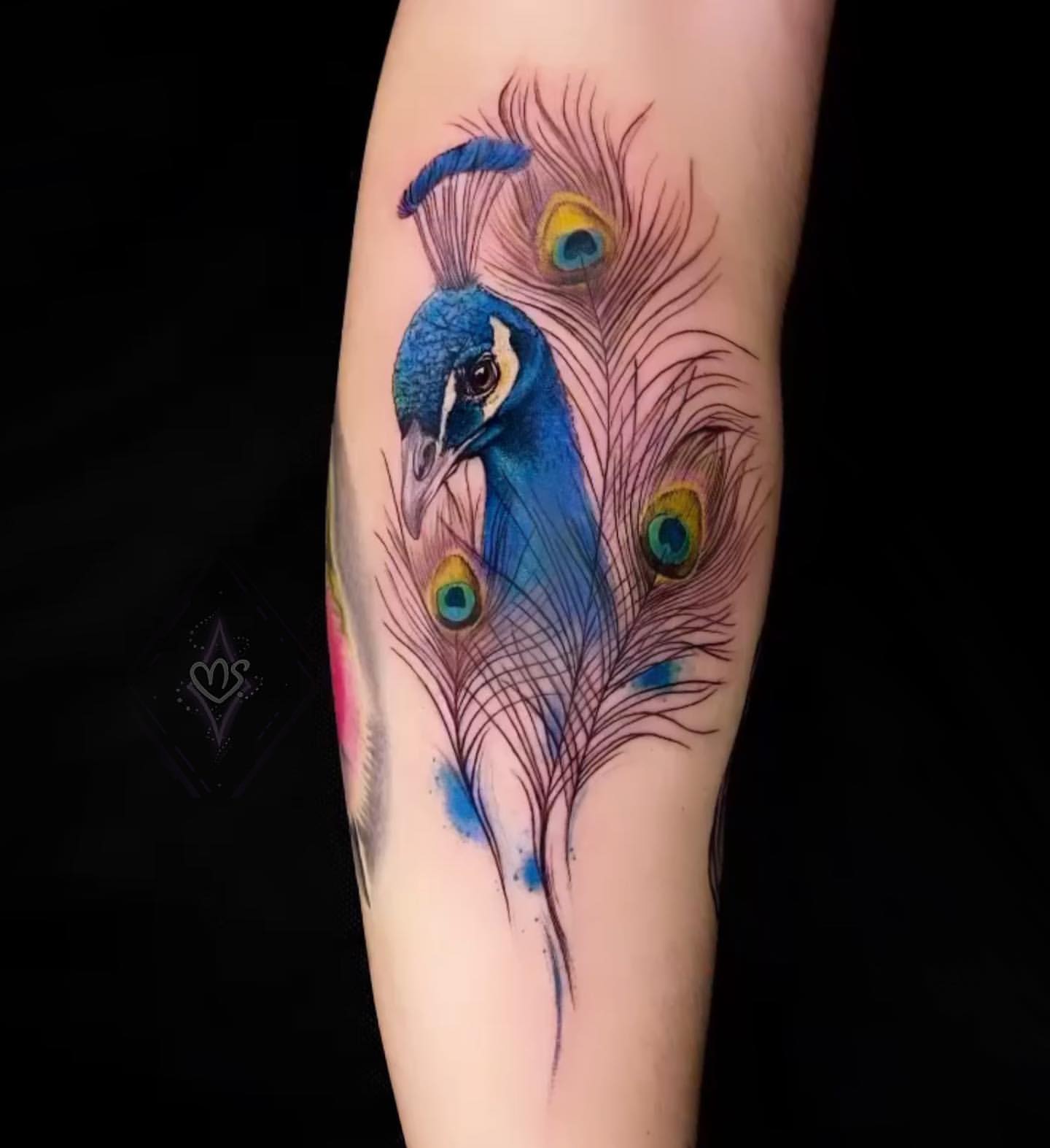 Peacock Tattoo Ideas 14