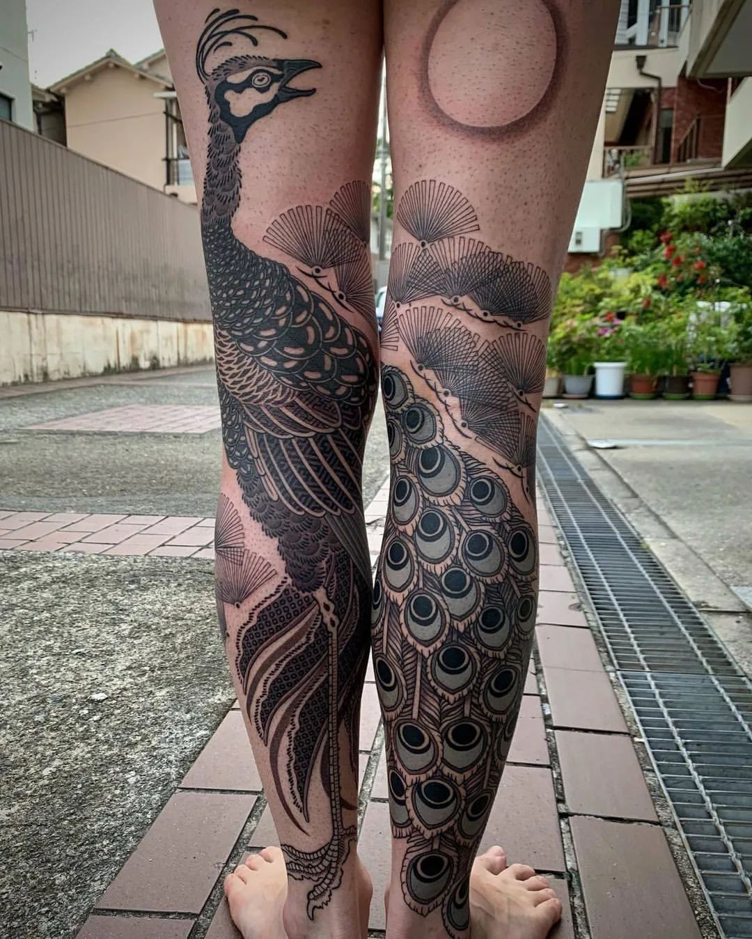 Peacock Tattoo Ideas 23