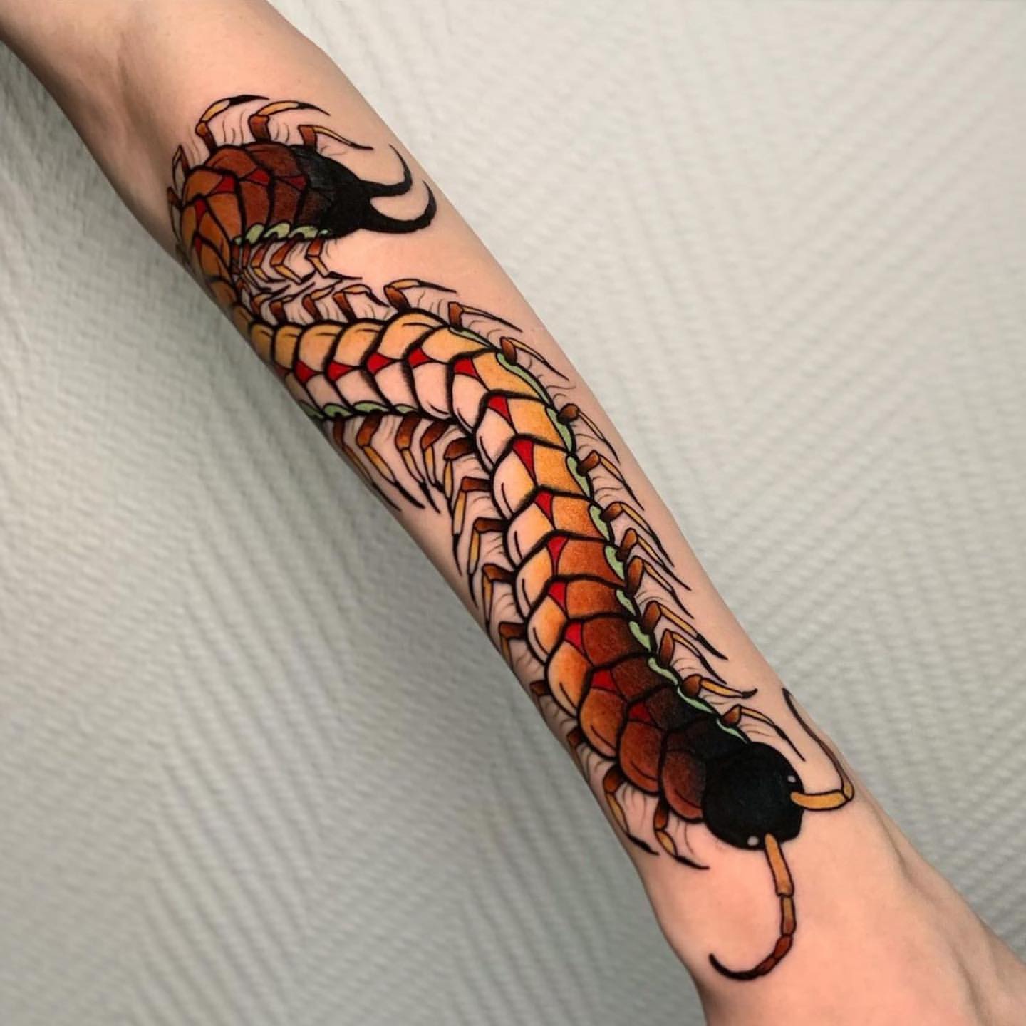 Centipede Tattoo Ideas 14