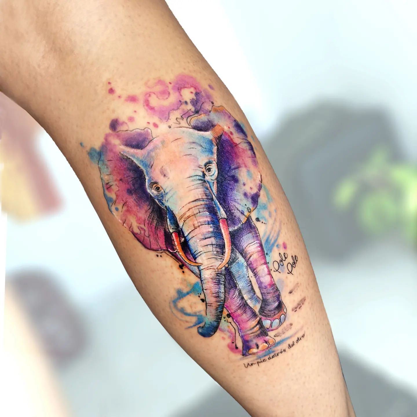 Elephant Tattoo Ideas 33