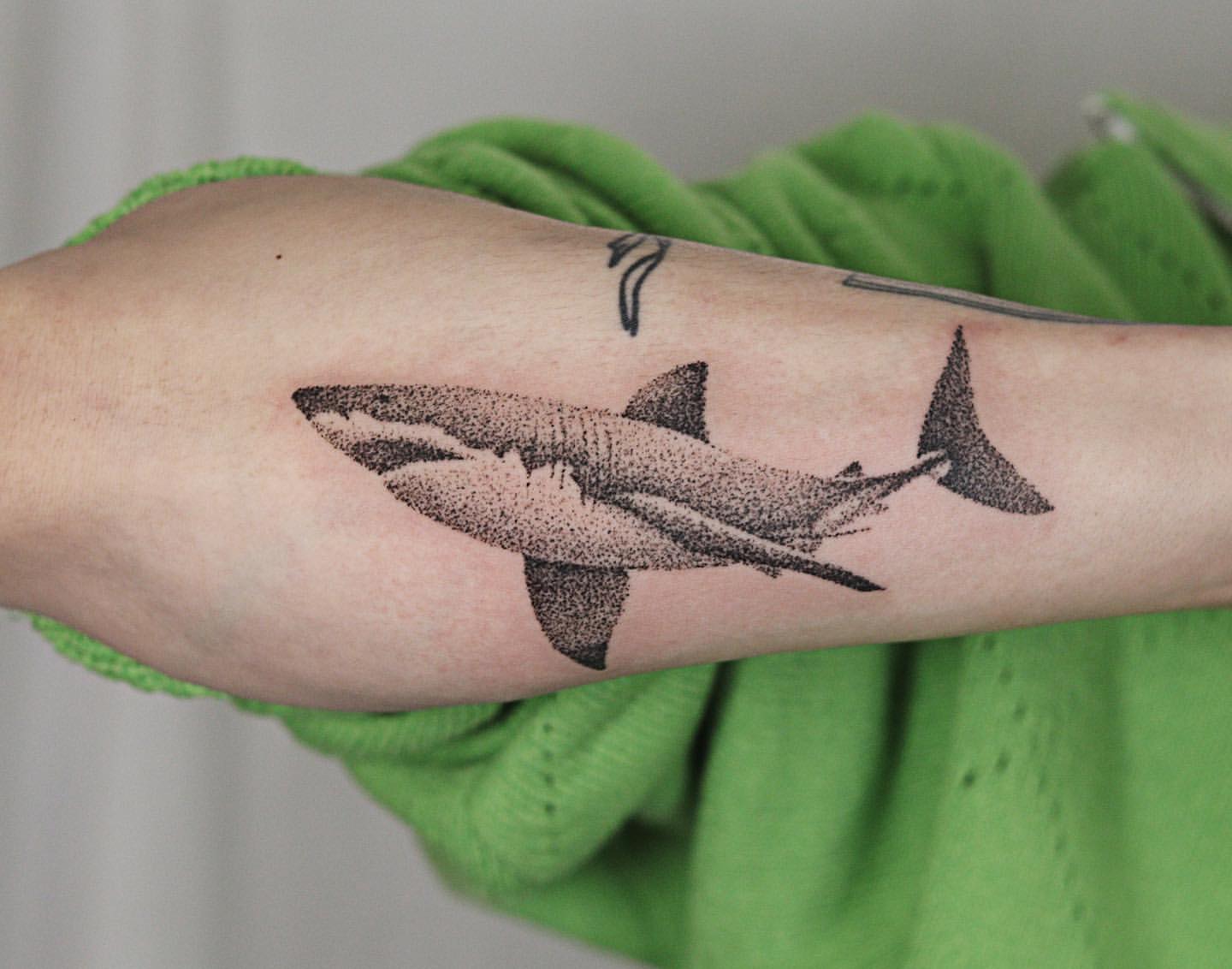 Shark and Anchor by Jared Austin : TattooNOW