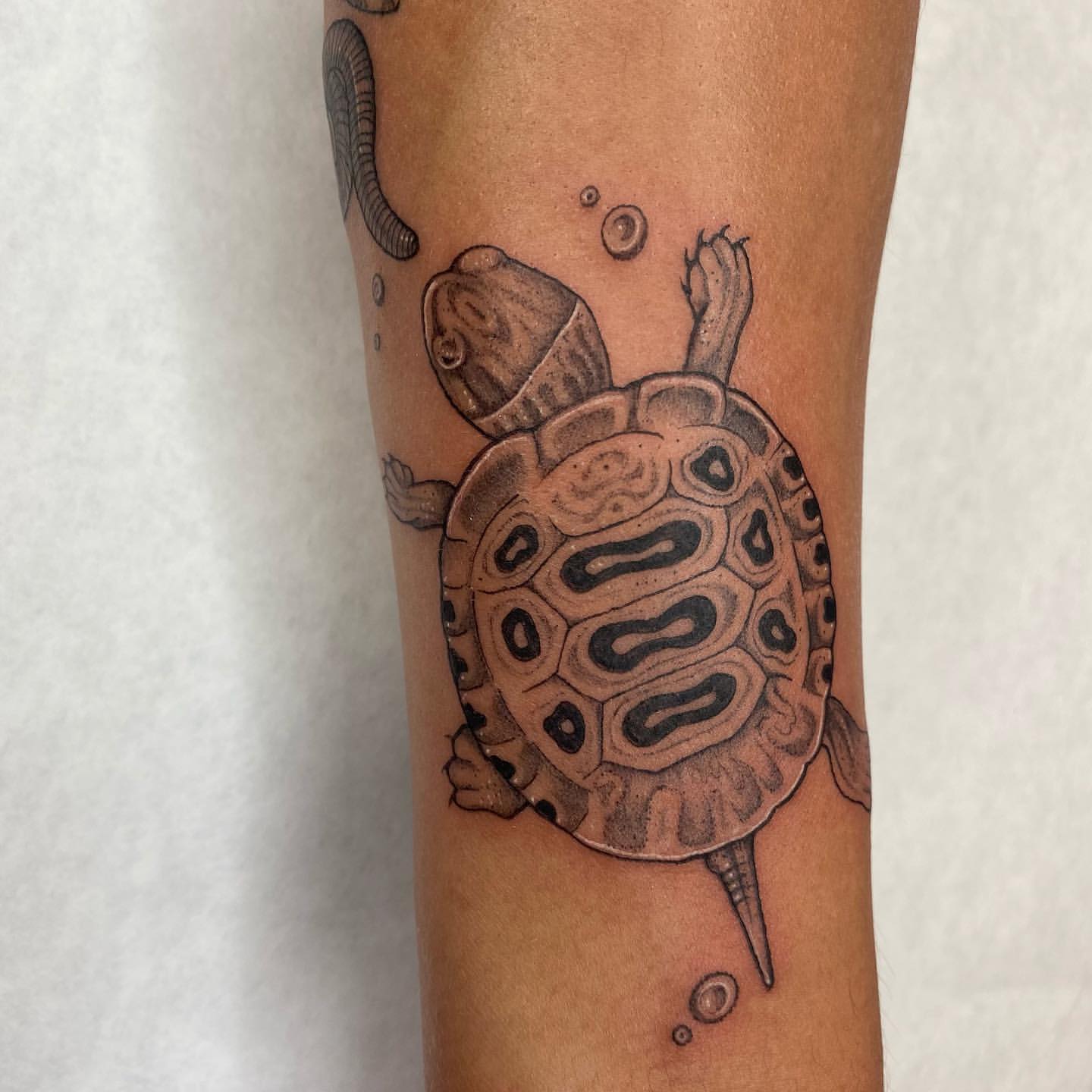Sea Turtle Tattoo Ideas 6