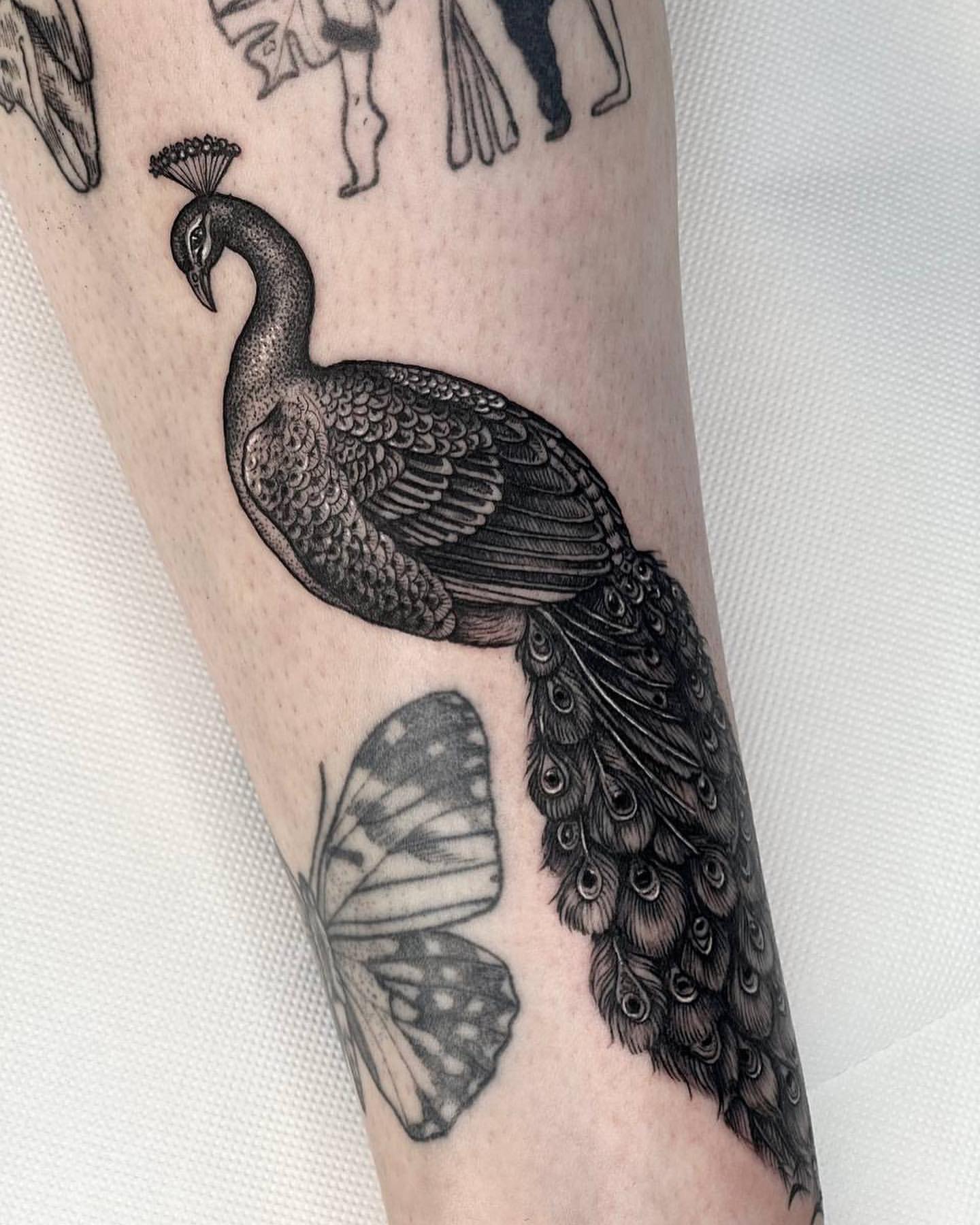 Peacock Tattoo Ideas 34