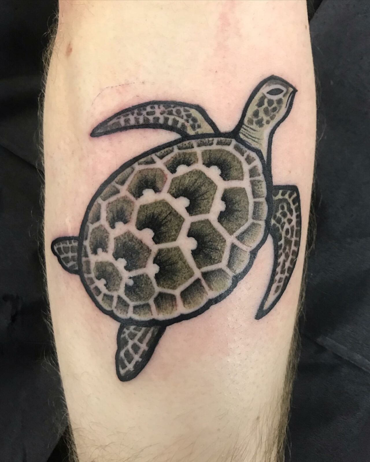 Turtle Power: 30 Sea Turtle Tattoo Ideas for Women & Men in 2023