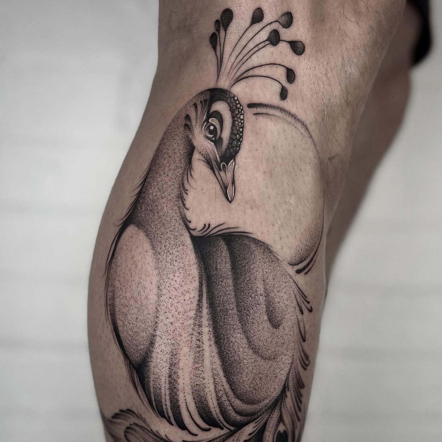 Peacock Tattoo Ideas 36