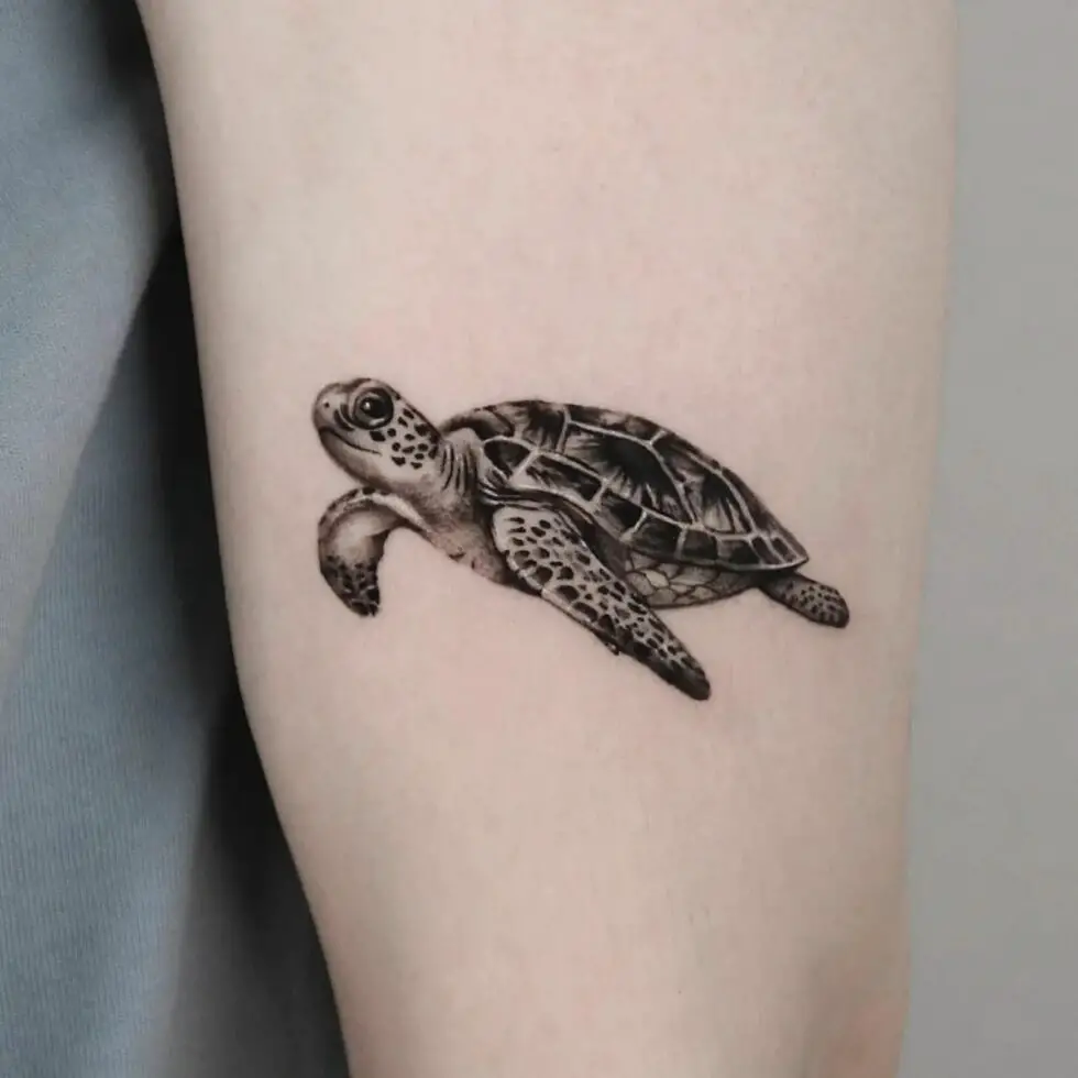 Turtle Power: 30 Sea Turtle Tattoo Ideas for Women & Men in 2023