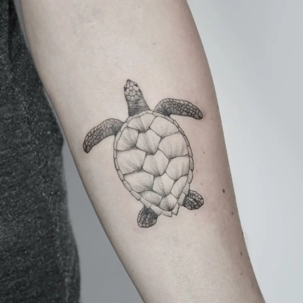 Turtle Power: 30 Sea Turtle Tattoo Ideas for Women & Men in 2023