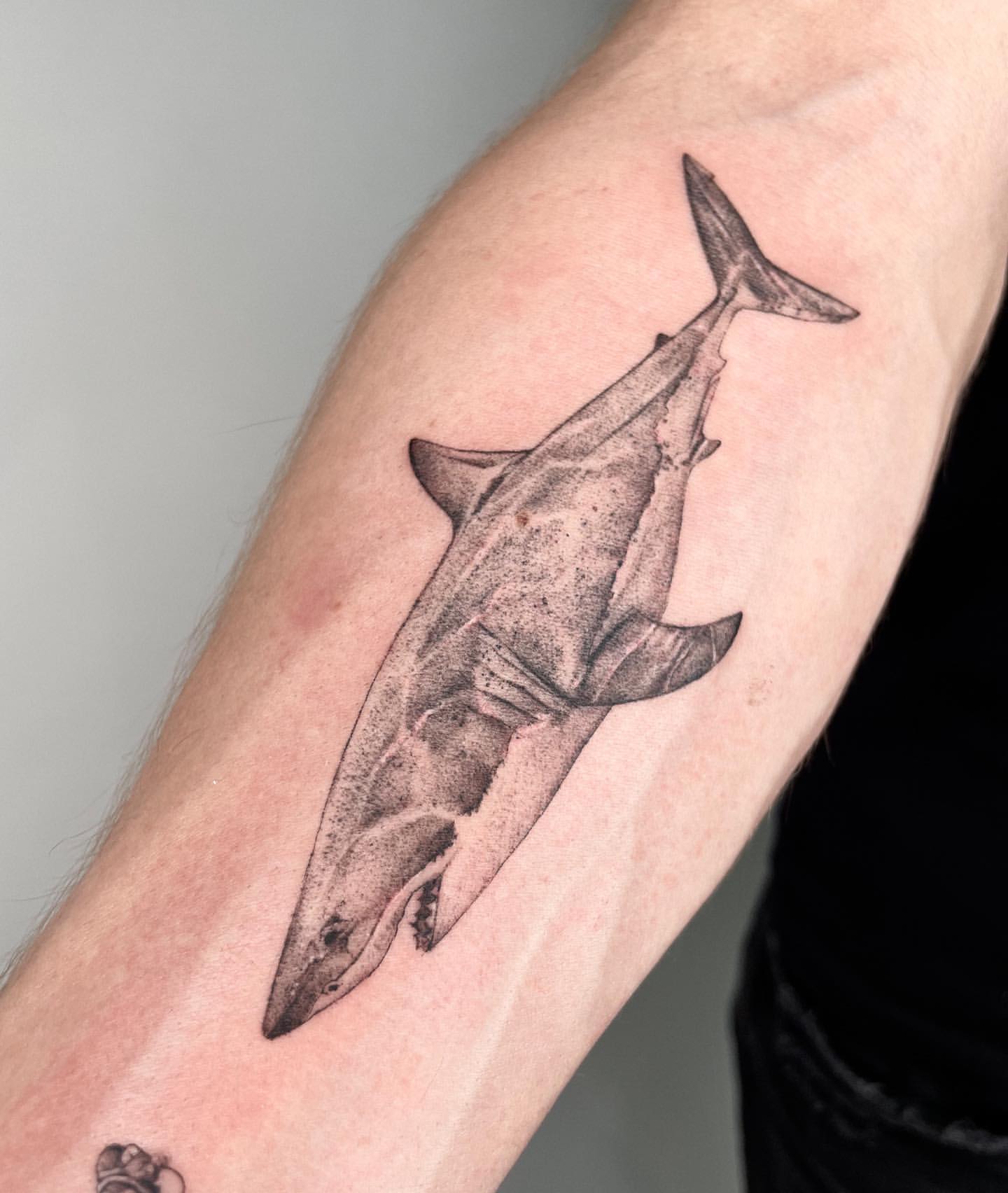Shark Tattoo Ideas 17