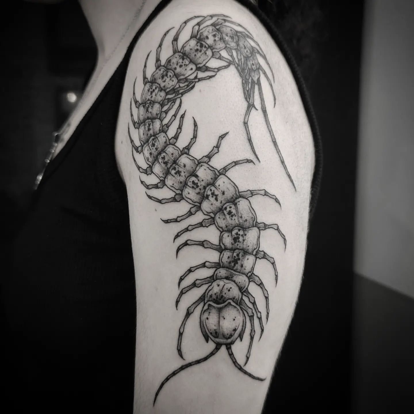 Centipede Tattoo Ideas 19