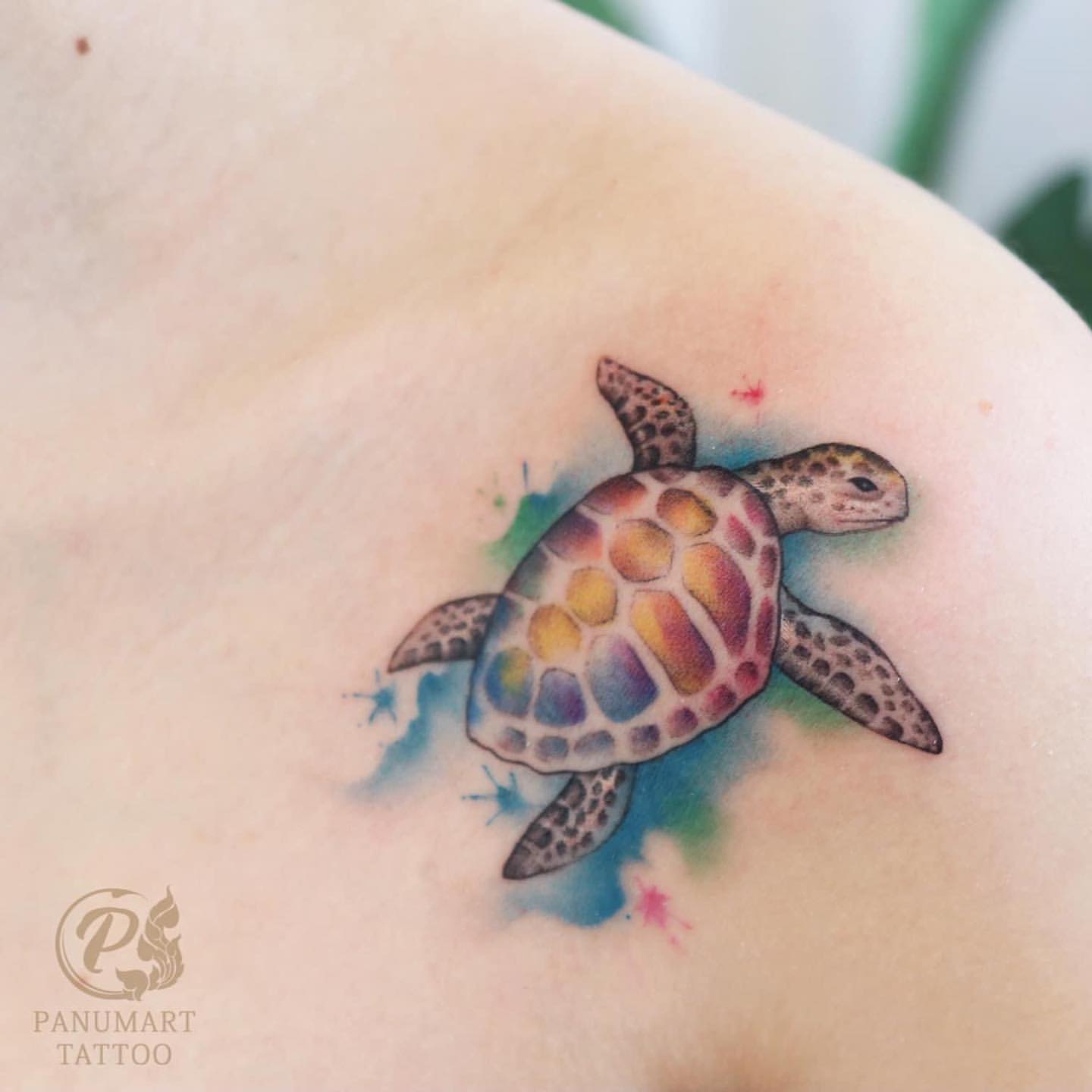 Best Sea Animal Tattoo Ideas 49