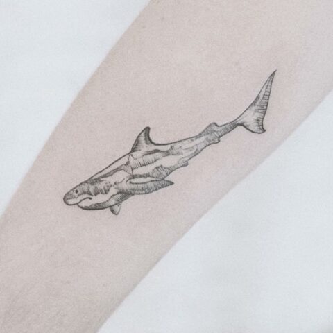 30 Sensational Shark Tattoo Ideas for Women & Men in 2023
