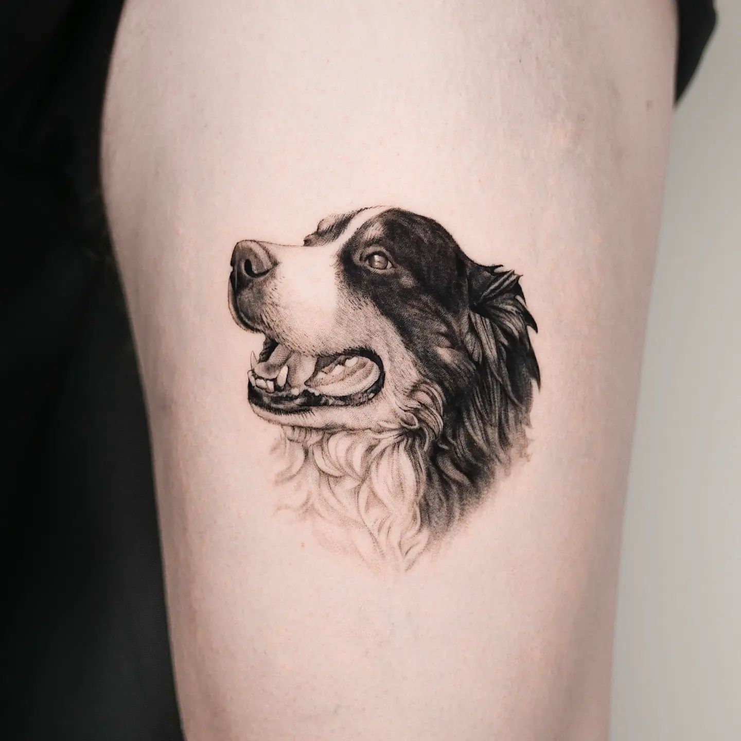 Dog Tattoo Ideas 2