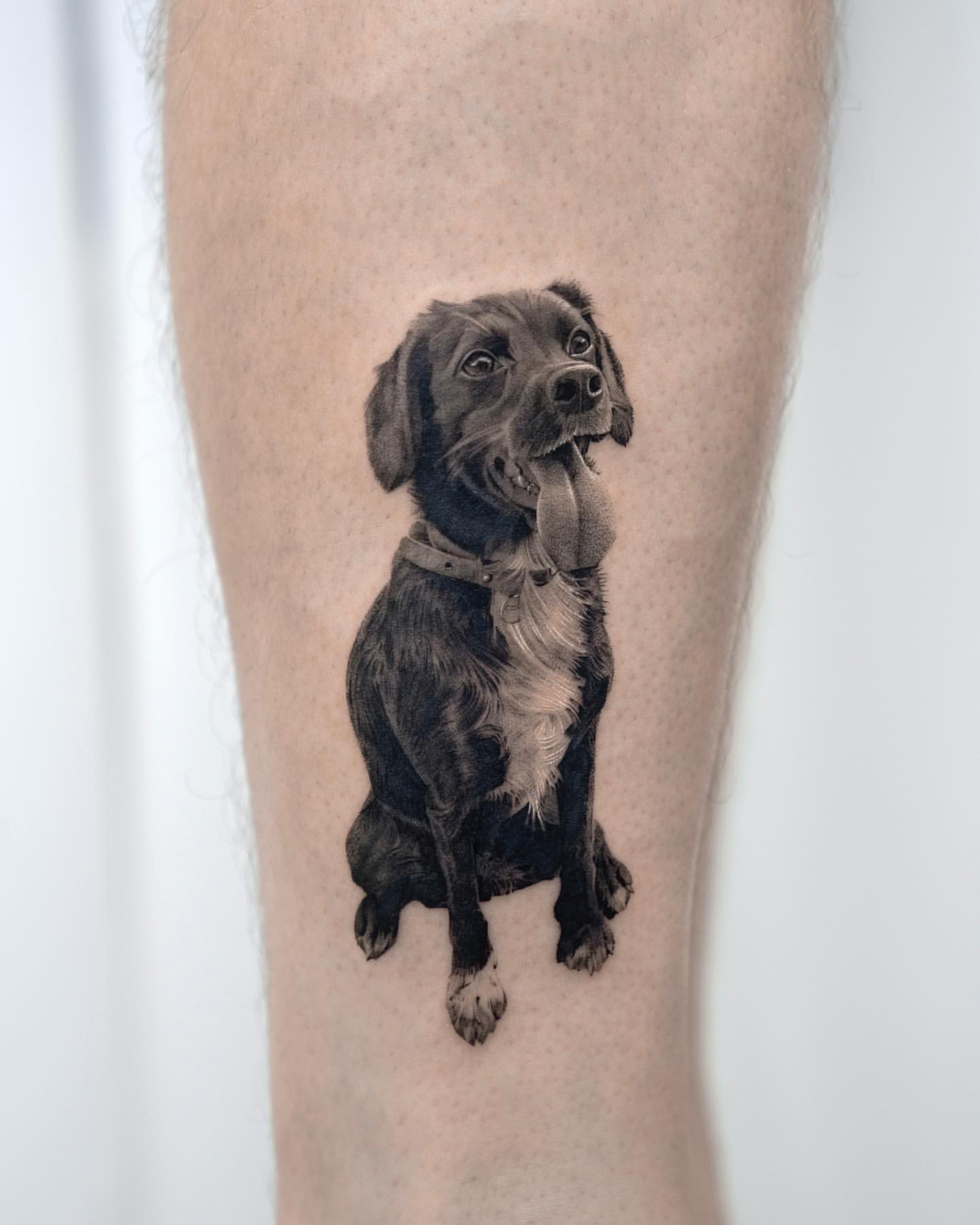 Dog Tattoo Ideas 15