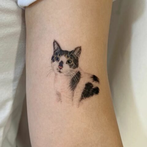 32 Cute Cat Tattoo Ideas for Women in 2023