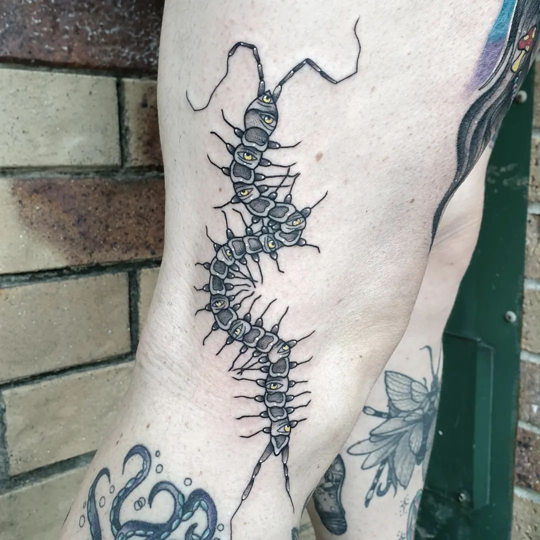 Centipede Tattoo Ideas 22