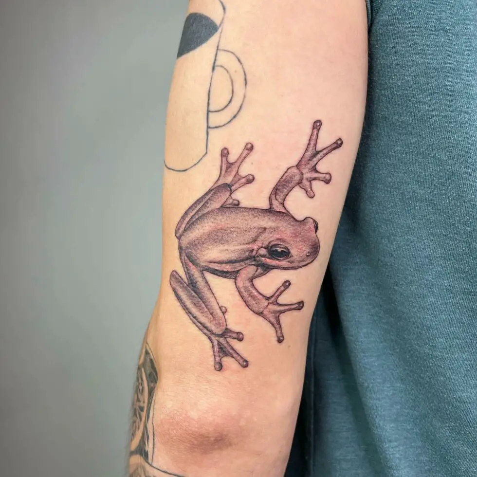 30 Fabulous Frog Tattoo Ideas for Men & Women in 2024
