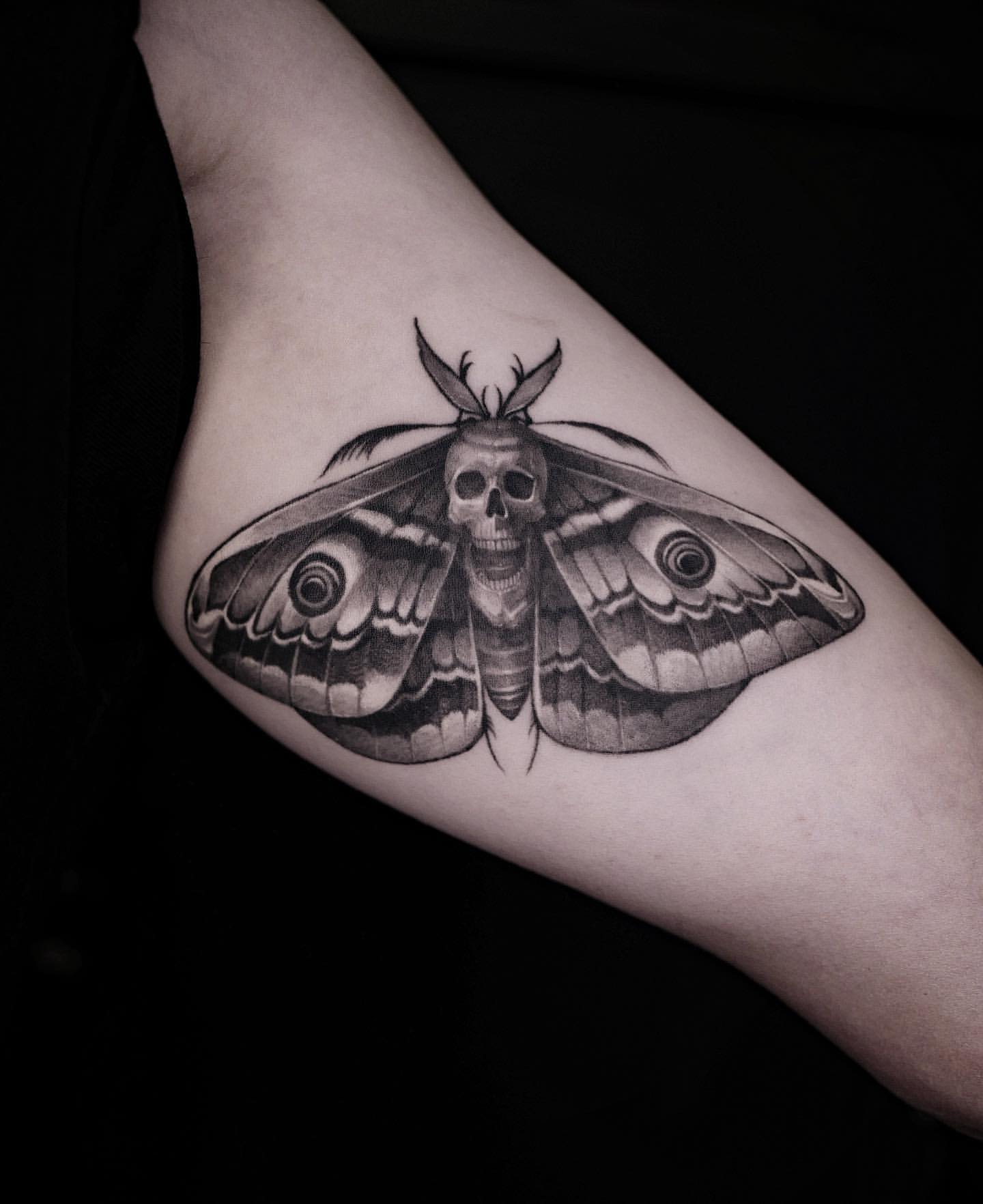 insect sleeve tattooTikTok Search