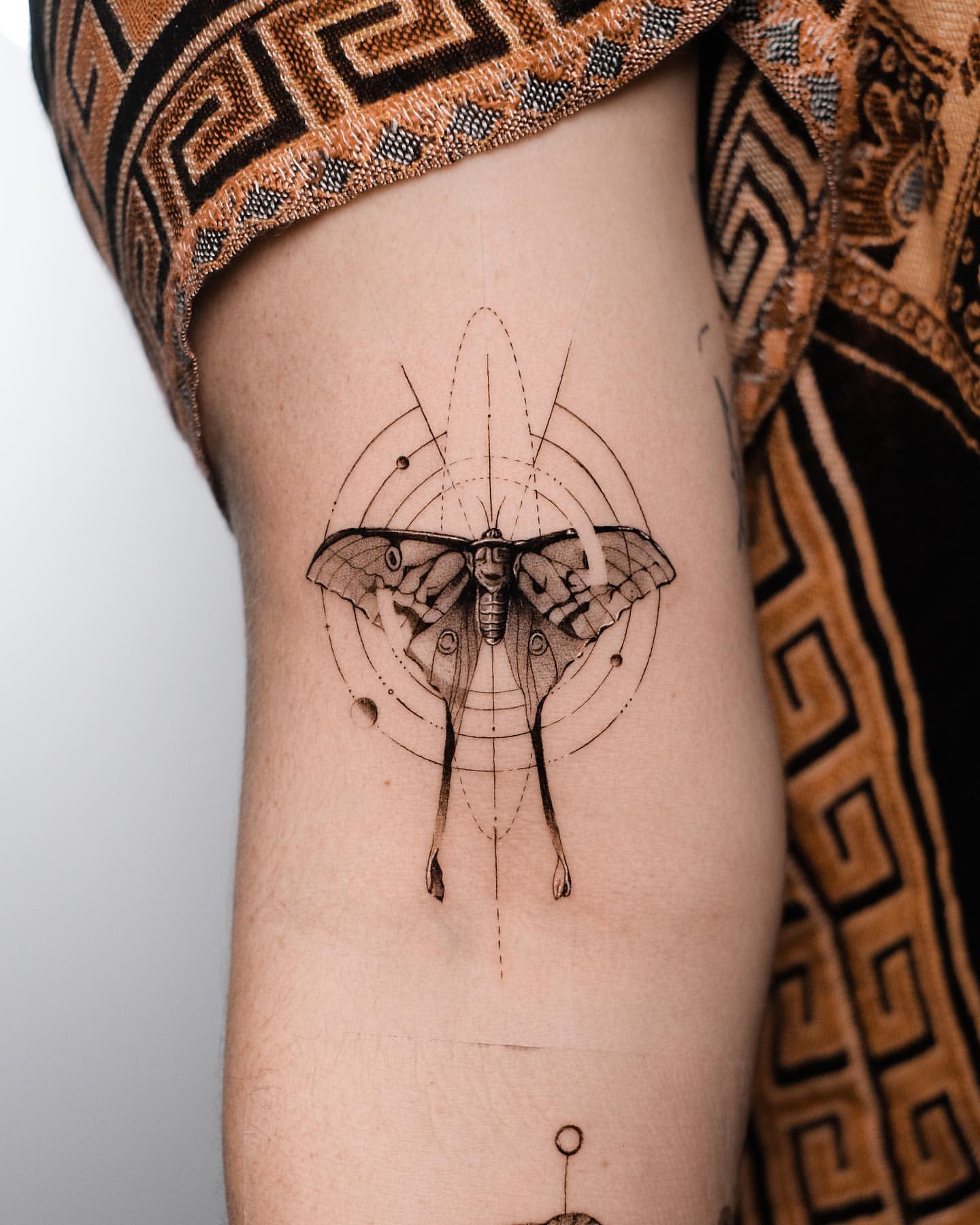 Moth Tattoo ideas 19