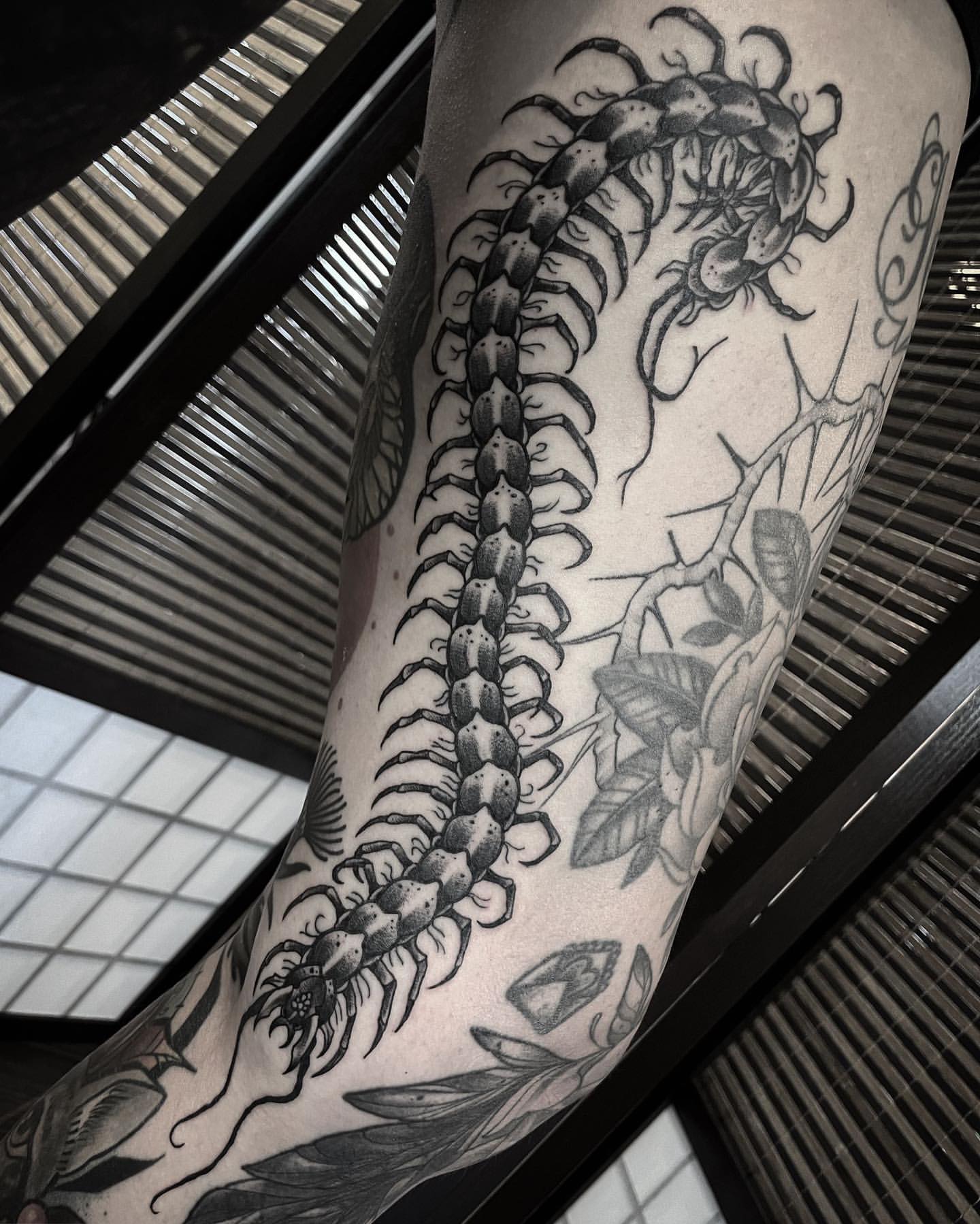 Centipede Tattoo Ideas 25