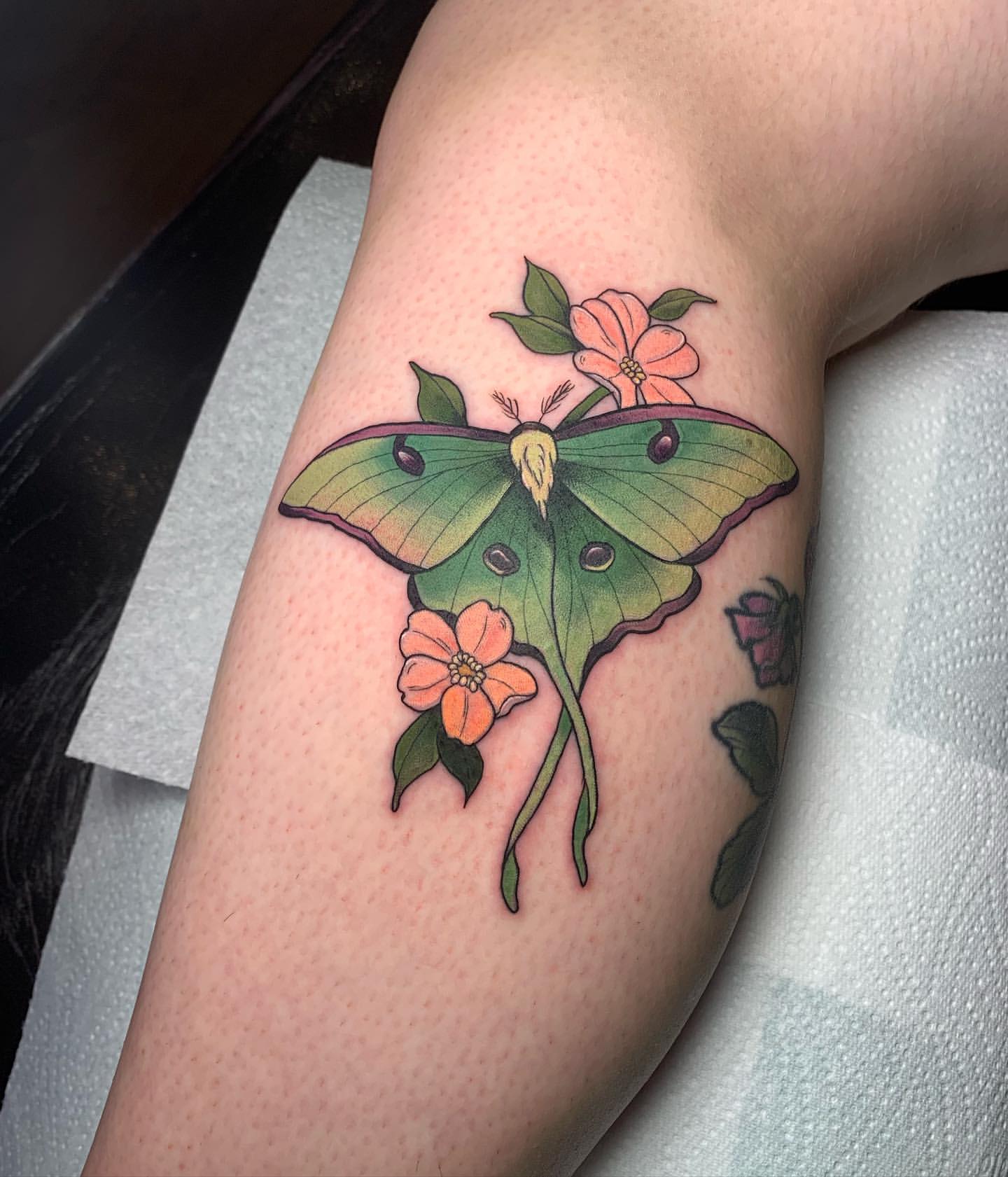 Moth Tattoo ideas 16
