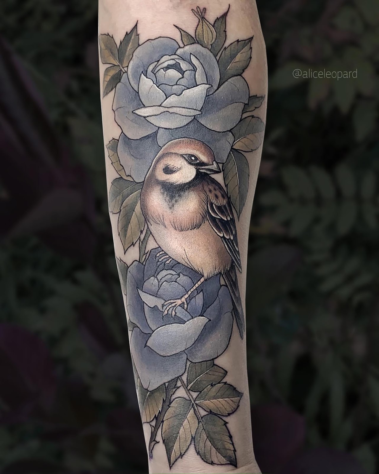 12 Inspiring Sparrow Tattoo Design Ideas With Pictures  Sparrow tattoo Sparrow  tattoo design Small sparrow tattoos