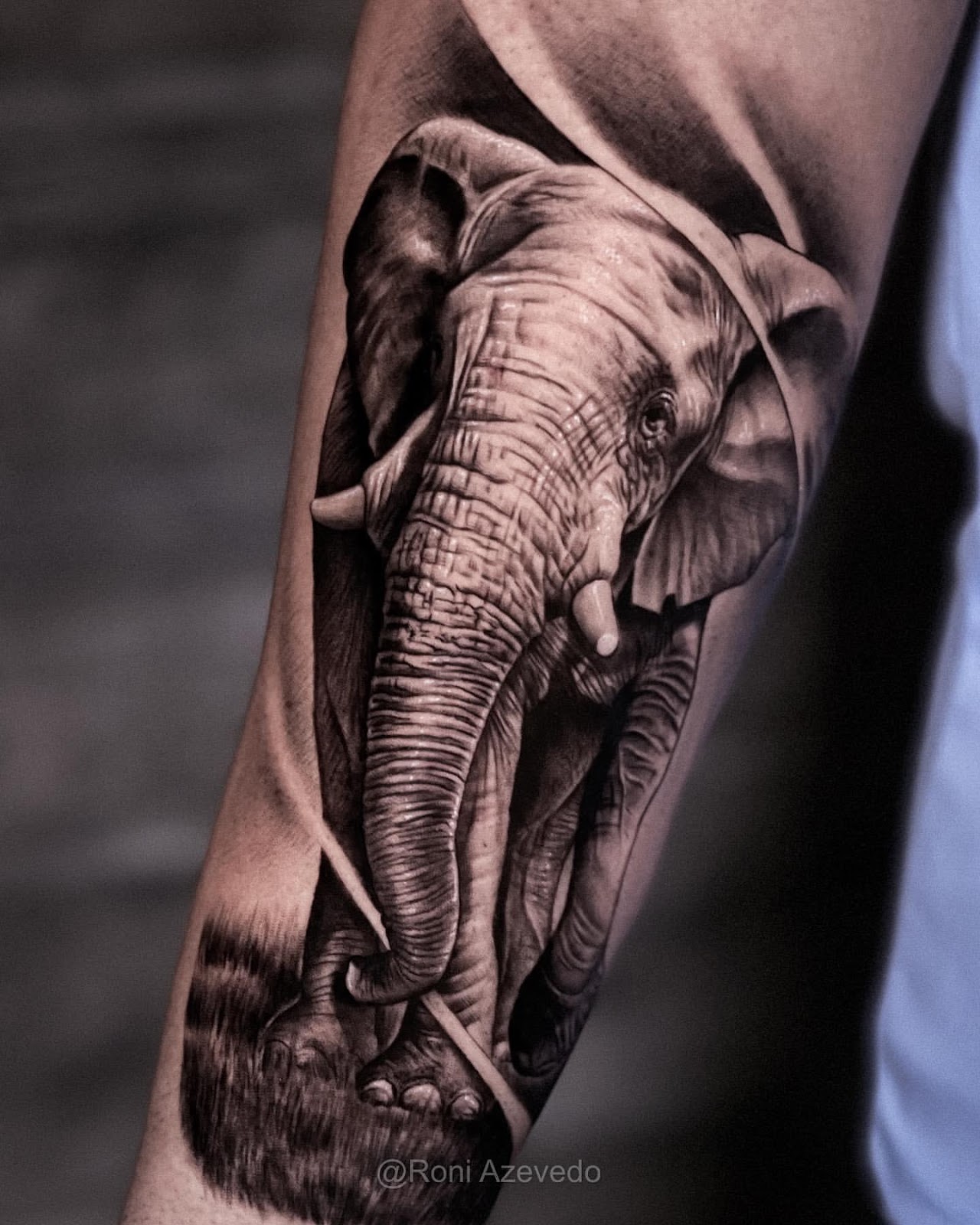 Best Animal Tattoo Ideas 28