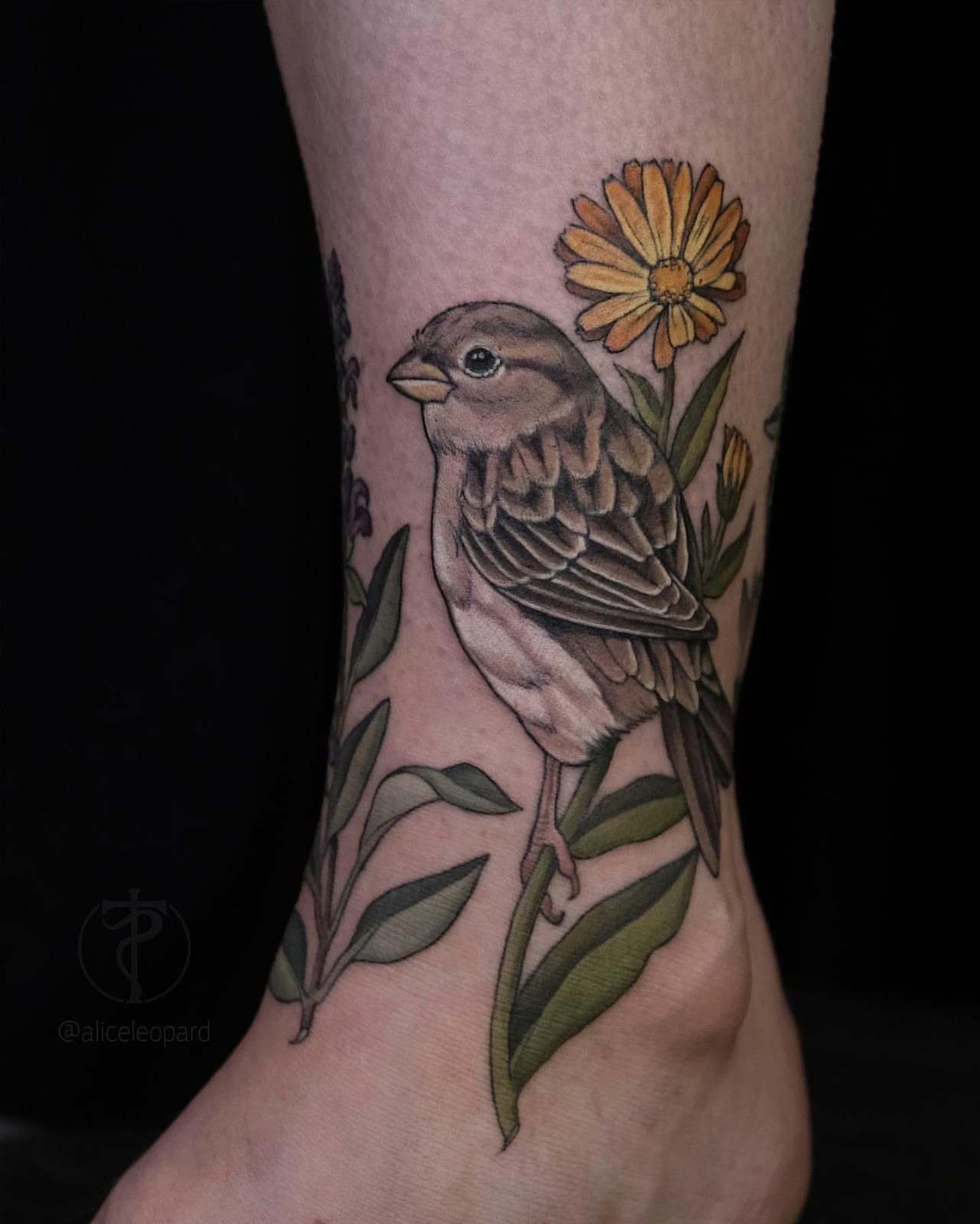 Sparrow Tattoo Ideas 23