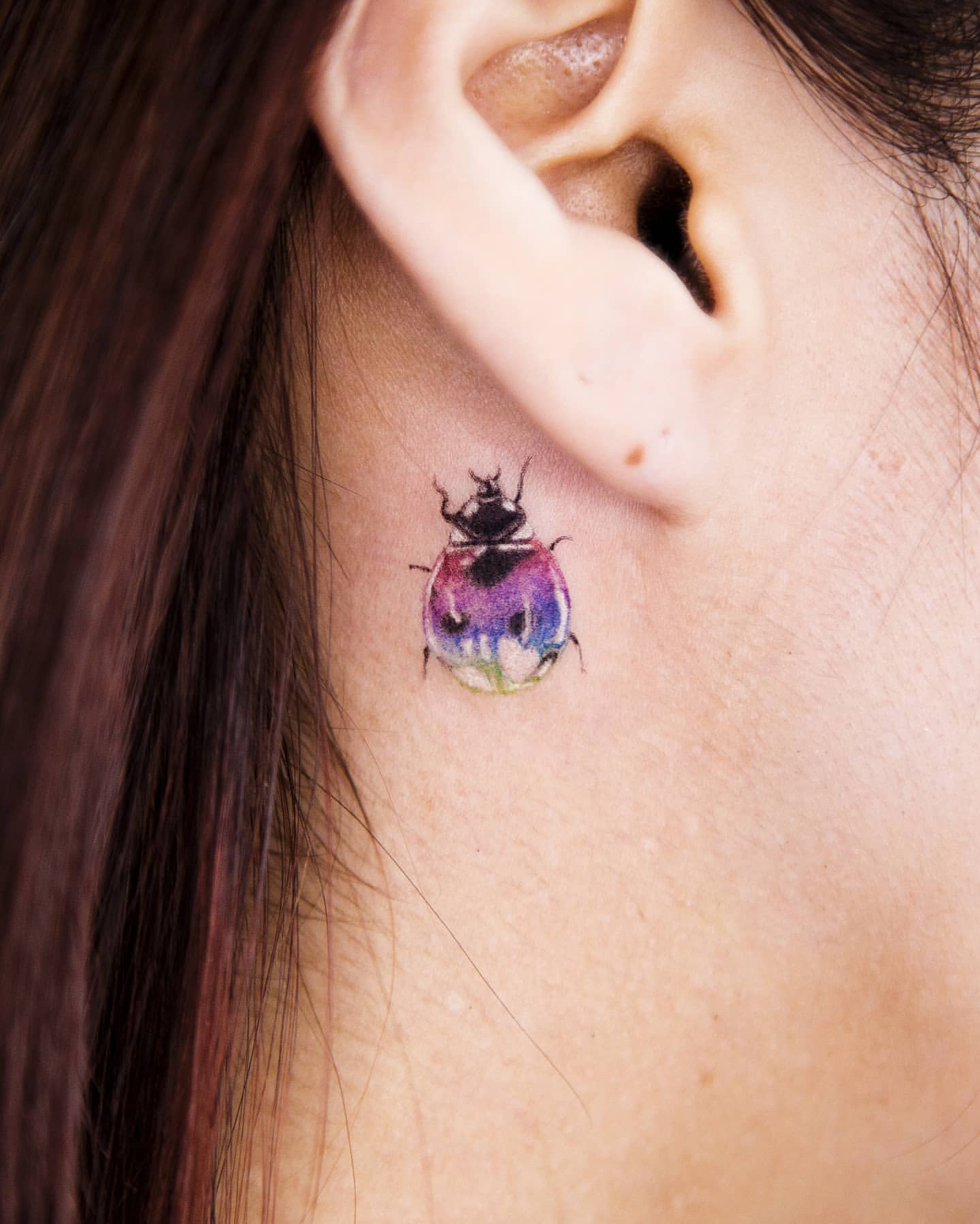 Ladybug Tattoo Ideas 1
