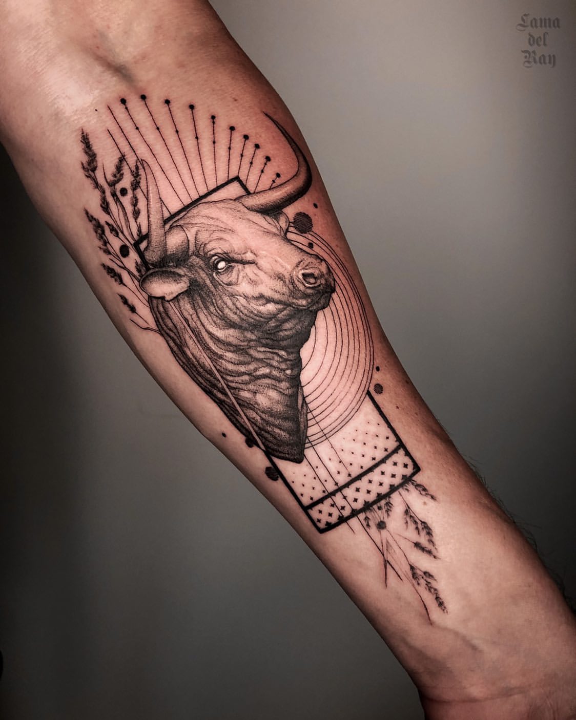 Share 155+ bull tattoo forearm