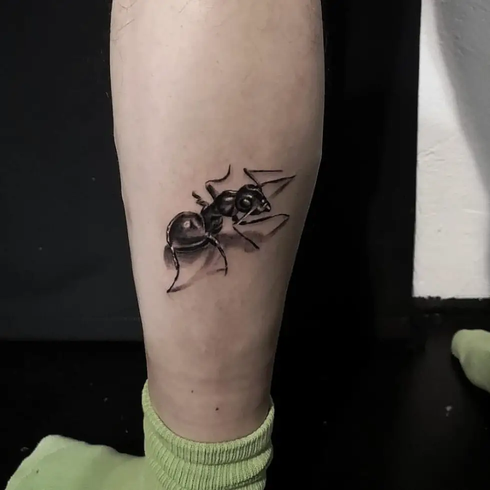 17 Best Ant Tattoo Ideas for Men & Women in 2023