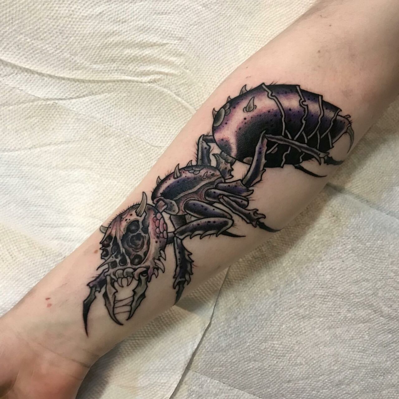 17 Best Ant Tattoo Ideas for Men & Women in 2023
