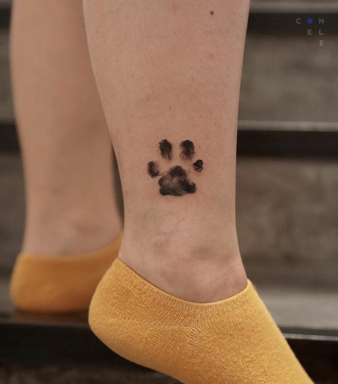 26 Adorable Paw Print Tattoo Ideas for Men & Women in 2024
