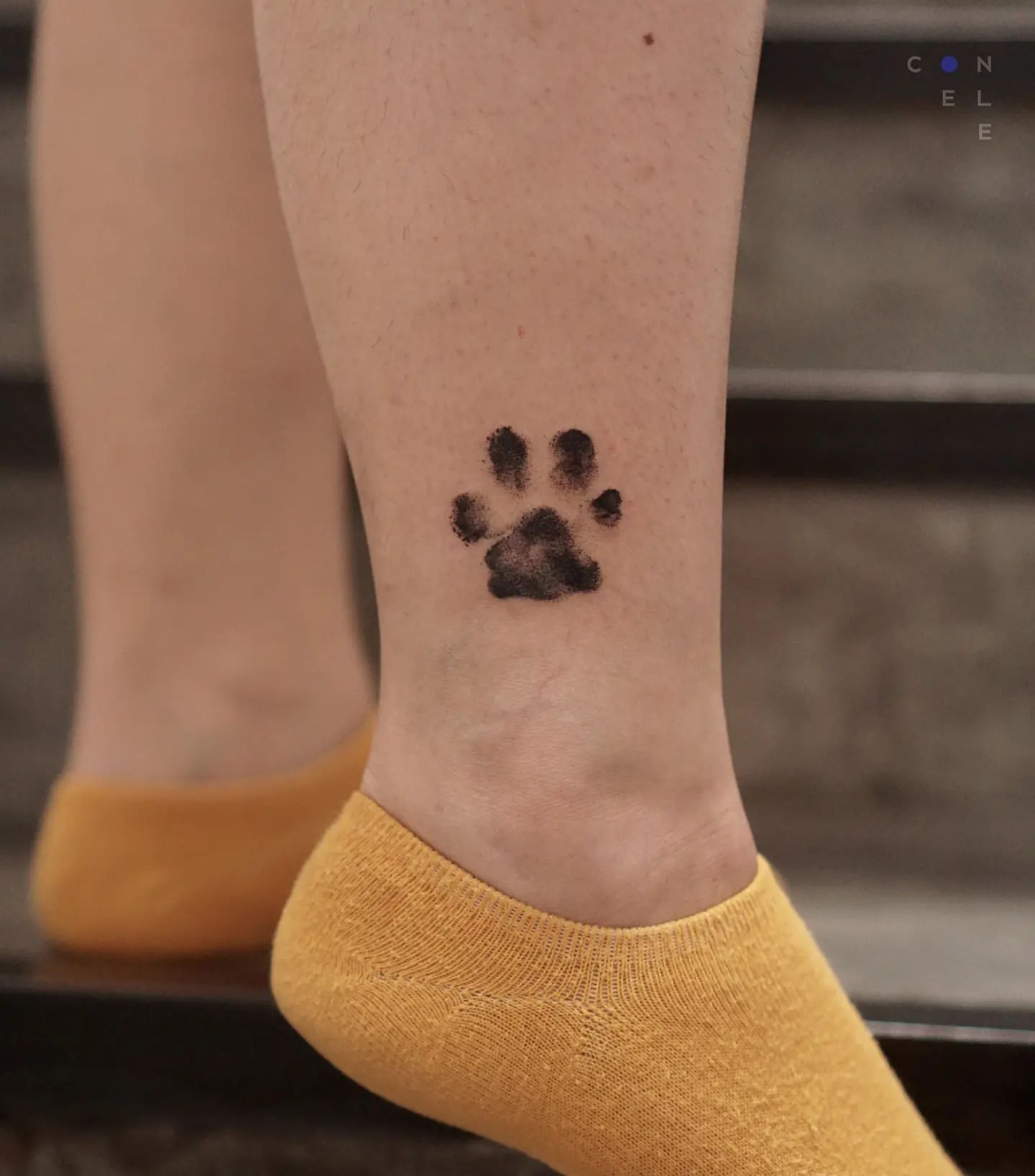 26 Adorable Paw Print Tattoo Ideas for Men & Women in 2023