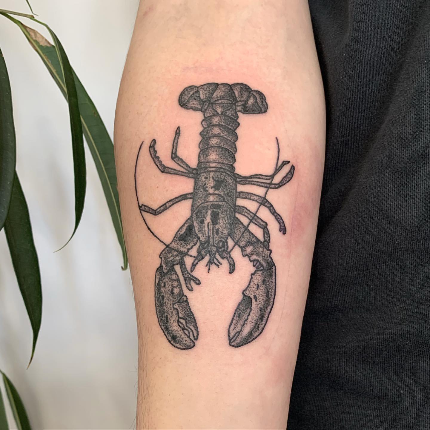 Lobster Tattoo Ideas 16