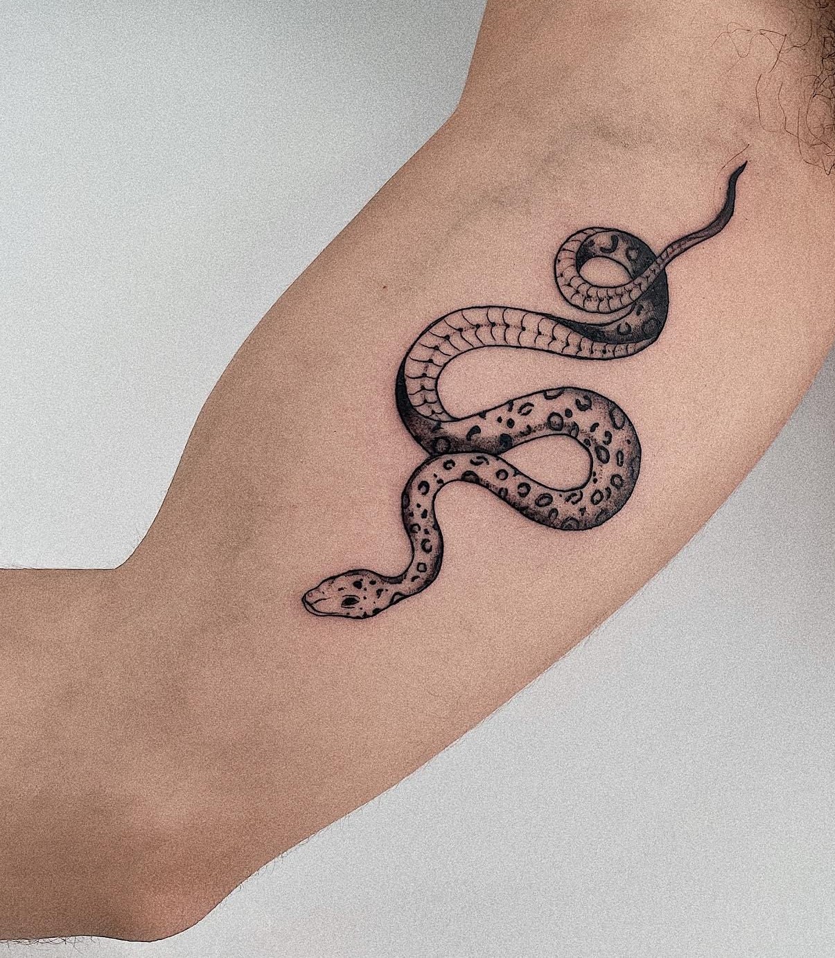 Cobra Tattoo Ideas 9