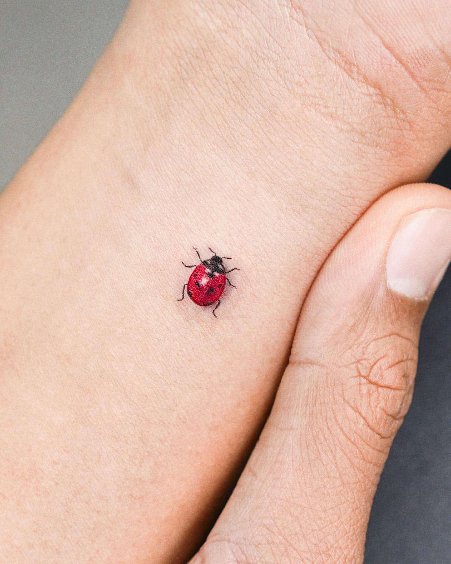 Ladybug Tattoo Ideas 10