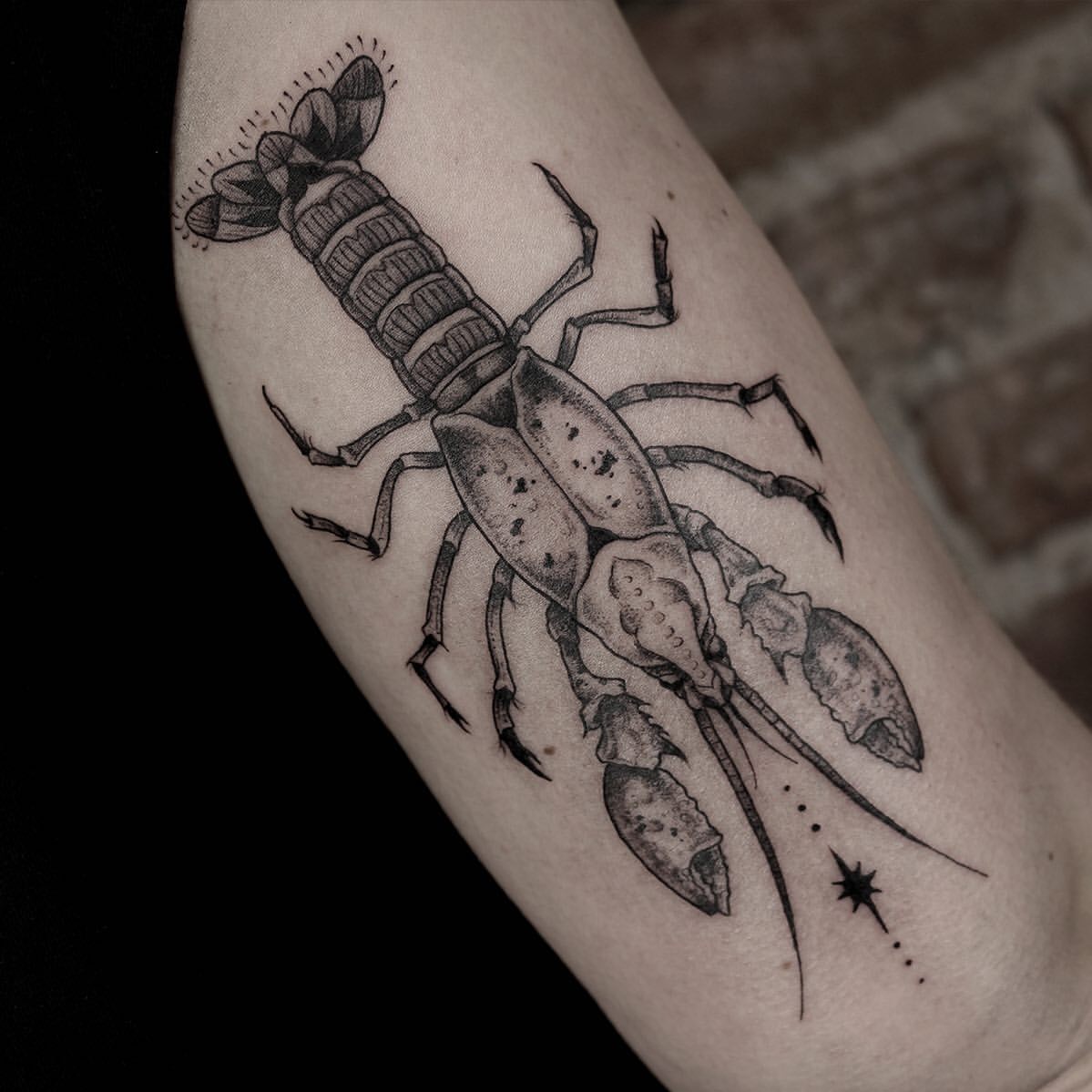 Lobster Tattoo Ideas 23