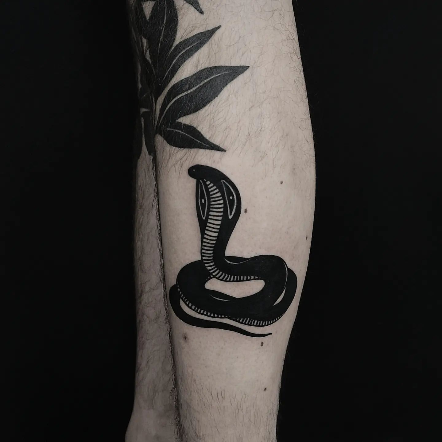 Cobra Tattoo Ideas 18