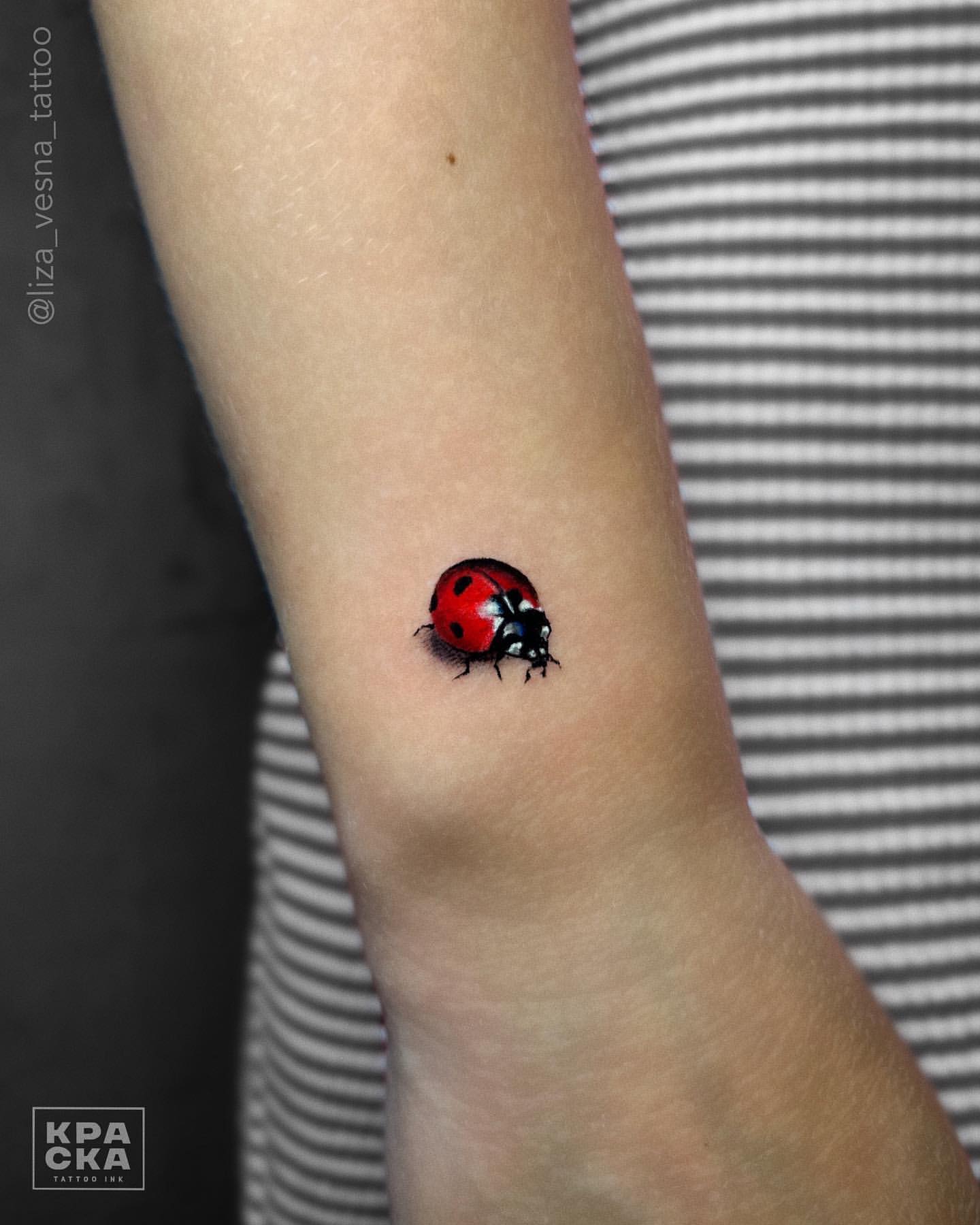 Ladybug Tattoo Ideas 22