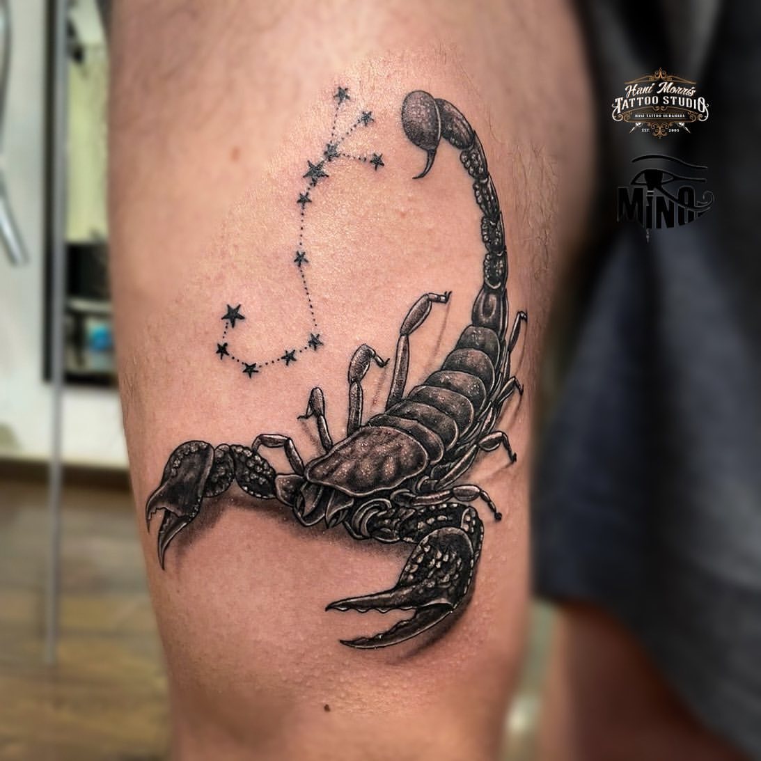 Scorpion Tattoo Ideas 9